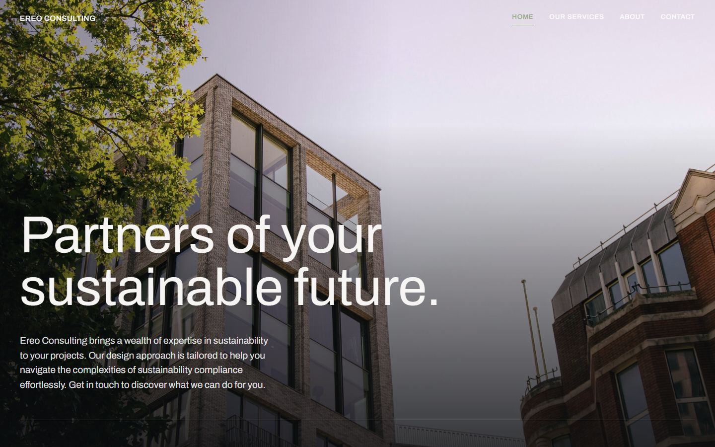 Ereo Consulting new website homepage